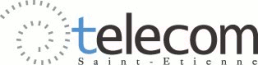 Logo TSE